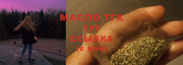 МДПВ Краснослободск
