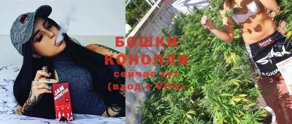 МДПВ Краснослободск