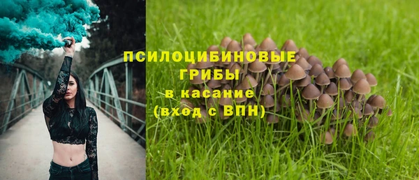 мдпв Краснотурьинск