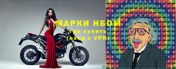 МДПВ Краснослободск