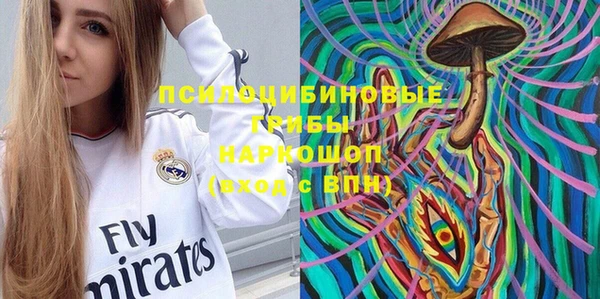 мдпв Краснотурьинск
