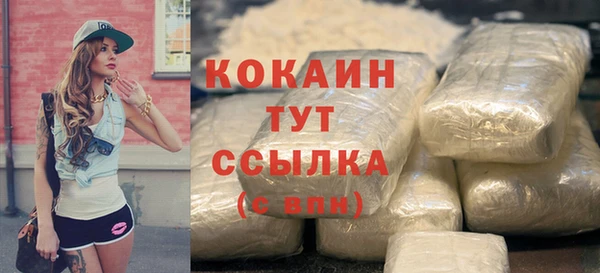 МДПВ Краснослободск