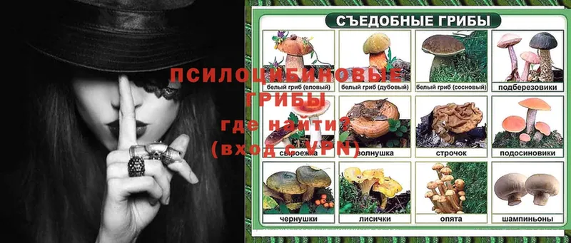 кракен как зайти  Нелидово  Галлюциногенные грибы Magic Shrooms 